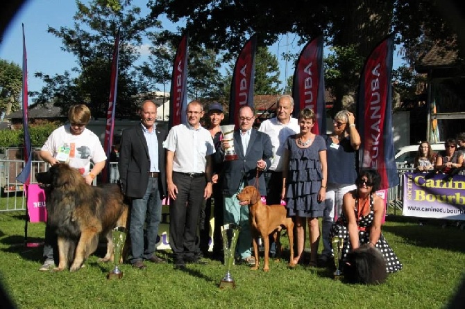 du fond de chouck - Best in Show pour Fox-trot !