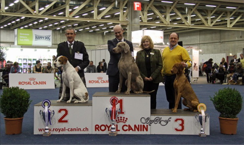 du fond de chouck - Bravo Fox-trot